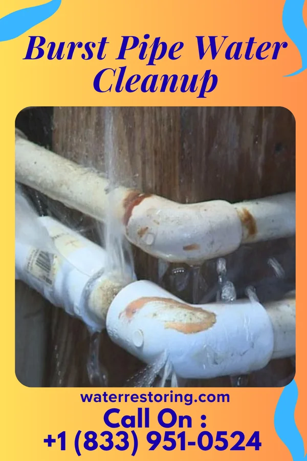 Burst Pipe Water Cleanup in Agency, IA