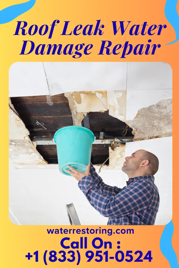 Roof Leak Water Damage Repair in Agency, IA