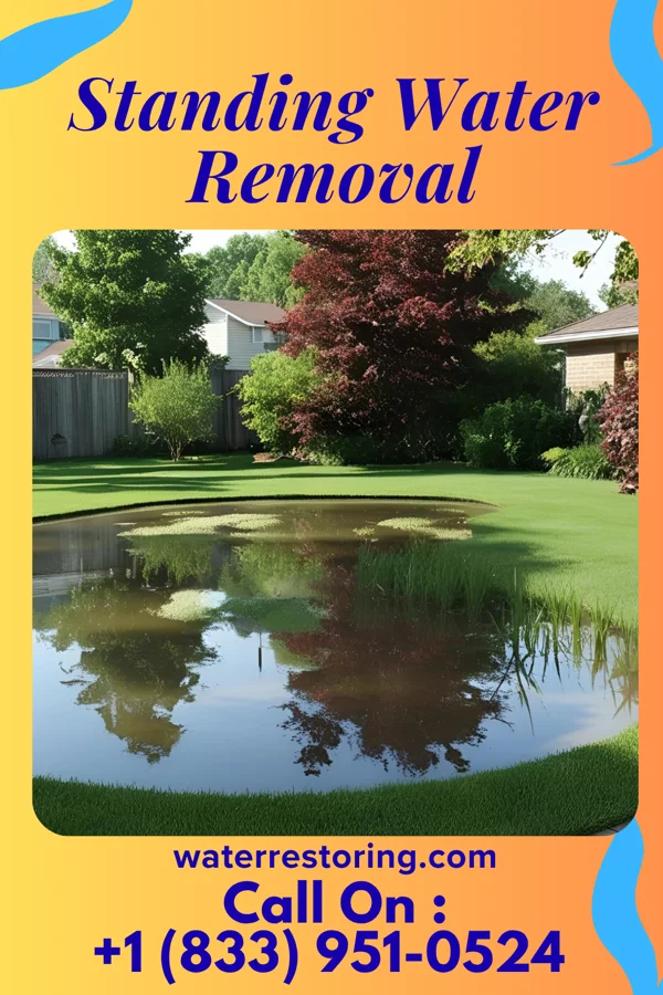 Standing Water Removal in Agency, IA